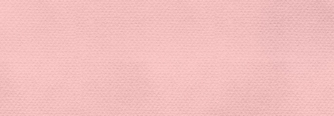 Light Pink Colored Paper Texture Background. Procreate Digital Art