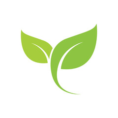 Green Leaf Icon Vector Illustrations