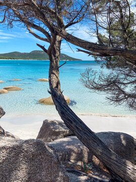 paradis
