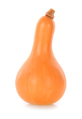 butternut squash isolated on white background.