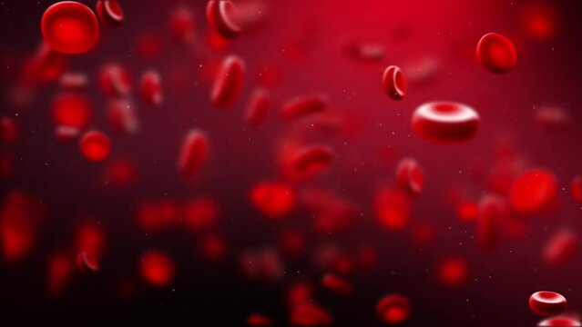 Red blood cells flowing in veins. macro close view