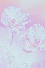 Natural grainy gradient background