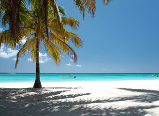 Coconut palm trees on bounty and pristine beach on caribbean island Saona. Dominican Republic, travel  card