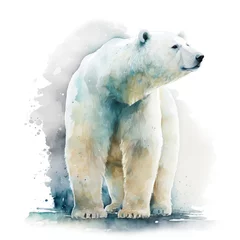 Foto op Canvas watercolor isolated illustration of a polar bear, drawing by the hand of a polar animal © Kat_branch_art