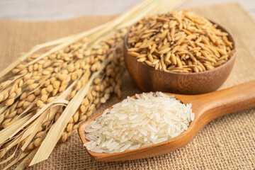 Jasmine white rice in wooden bowl with gold grain from agriculture farm.