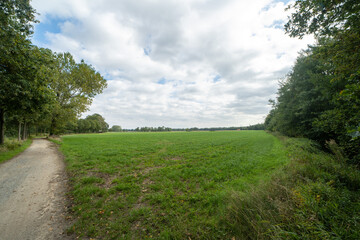 Fototapeta na wymiar Agricultural field outside of Rheine, Germany