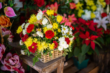 flowers in a garden