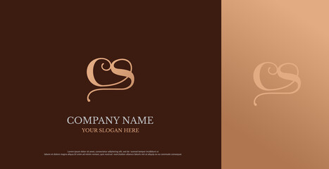 Initial CS Logo Design Vector 