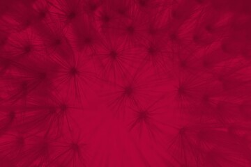 Abstract dandelion flower in trendy color -  viva magenta, color of the year 2023