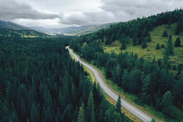 Concept nature landscape mood melancholic. Silence autumn forest green trees and road way in rural Altai, aerial top view - obrazy, fototapety, plakaty