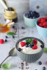 A bowl with Greek yogurt with berries	