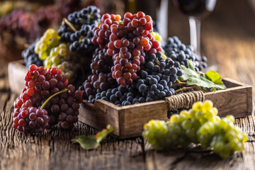 Juicy bunches of grapes in a wooden box, red wine in the background