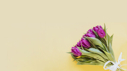 Beautiful romantic bouquet of pink tulips on the yellow background. Valentines day, Womens day or Mothers day celebration concept. Space for text