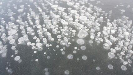 White smooth round bubbles on the ice of the river