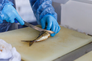 A fish factory worker cuts smoked mackerel into pieces with a knife.