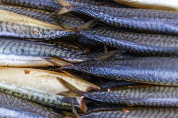Closeup view of smoked mackerel in fish factory.