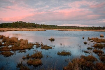  Pudmore Pond on Thursley Common, Surrey, UK.