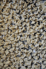 Homemade Turkish manti. (Traditional Turkish ravioli) Ready to cook handmade manti, dumplings