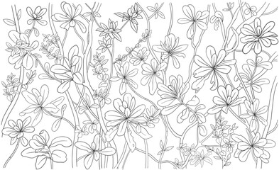 Fototapeta premium Scaevola taccada flowering plant. Tropical postcard background. Sketch hand drawn vector illustration.
