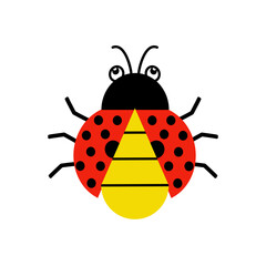 Ladybug isolated on white background.