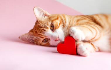 Ginger tabby cat with a red heart lying on a pink background. Greeting card for Valentines day....