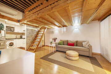 A loft apartment with pine wood paneling and white furniture on the ground floor, a matching wooden staircase and parquet floors with a beige rug and a small open plan kitchen and a plant fiber pouf