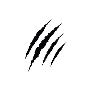Animal Claw scratches icon. Claw scratches symbol. Cat tiger scratches scratches sign. Transparent background. Claw scratches PNG