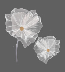 White watercolour flowers on grey background. Wedding decoration. Element for business card, invitation, poster or banner