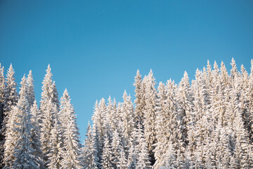 mountain landscape in the winter