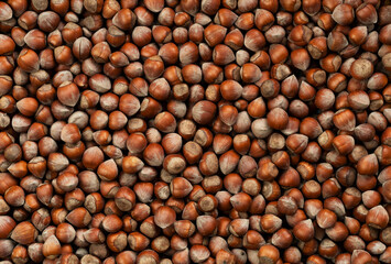 Close up top view photo of shelled raw hazelnuts.