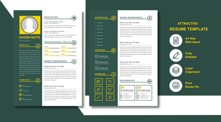 Attractive Resume Template - Stand Out from the Crowd - Professional Templates - Easy to Use and Edit.
