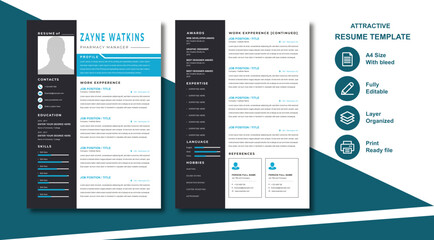 Attractive Resume Template/Professional Layout for Enhancing Your Job Application