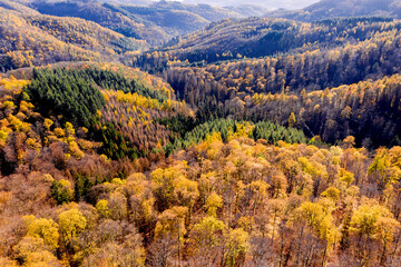 the rothaargebirge mountains in germany in autumn
