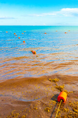 Obraz premium Blue water waves and ocean with buoy and ropes Mexico.