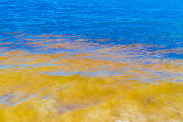 Waves at tropical beach caribbean sea clear turquoise water Mexico.