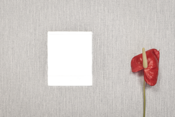 Carte de visite sur un mur avec espace transparent. Pour écrire un message, invitation, vœux, photographie.	