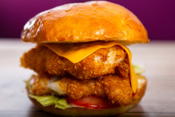 Burger and Sandwich