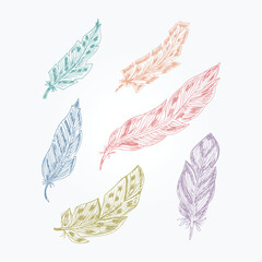 Vector Set of feathers. Hand Drawn Doodles illustration