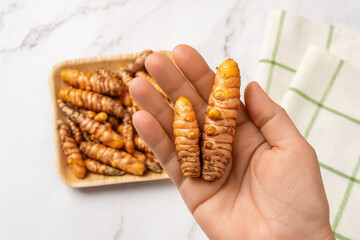 Raw curcuma rhizomes on the palm. Woman hand holds fresh turmeric roots closeup. Curcuma longa...