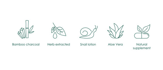 bamboo charcoal, herb extracted, snail lotion, aloe vera, natural supplement icon vector illustration  