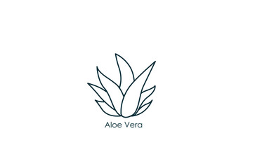 aloe vera icon vector illustration 