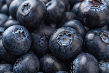 Raw blueberries macro background. Closeup texture of sweet juicy wildberries. Ripe blueberry as natural antioxidant for vitamin healthy eating. Vegan and vegetarian concept.