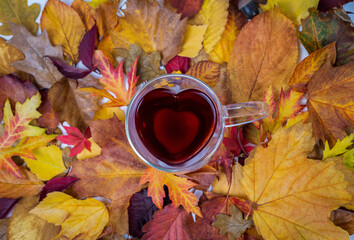 Herzförmige Teetasse aus Glas mit rotem Tee gefüllt, im Hintergrund leicht unscharf abgebildetes rot-gelbes Laub, Draufsicht von oben horizontal 