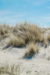 Hiddenseeer D&uuml;ne