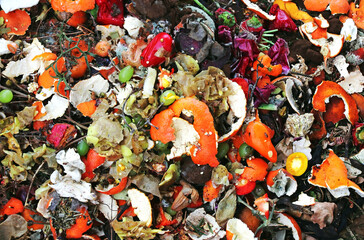 Weggeworfene Lebensmittel und Küchenabfälle auf einem Abfallhaufen