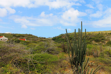 House in the desert, Aruba