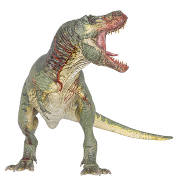 t-rex on blood is looking around in white background