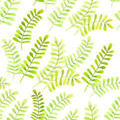 Watercolor seamless pattern with dark and light green wild meadow plants on white background....