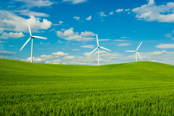 Rolling green wheat field with wind turbines on the horizon and blue sky a white clouds.
