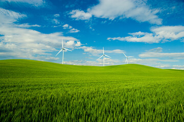 Fototapeta na wymiar Rolling green wheat field with wind turbines on the horizon and blue sky a white clouds.